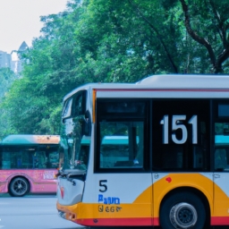 广州的省有哪些公交车（广州的省区公交车大全）