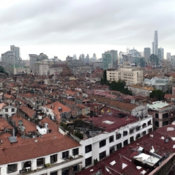 上海住宿攻略(上海住宿攻略：如何在这座城市中找到最适合你的住所？)