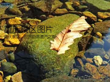 重庆景区图片(重庆景区：世界自然遗产之都)