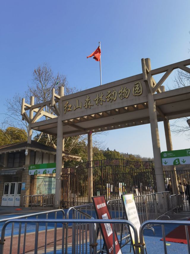南京红山动物园门票(南京红山动物园门票可以现场买吗)